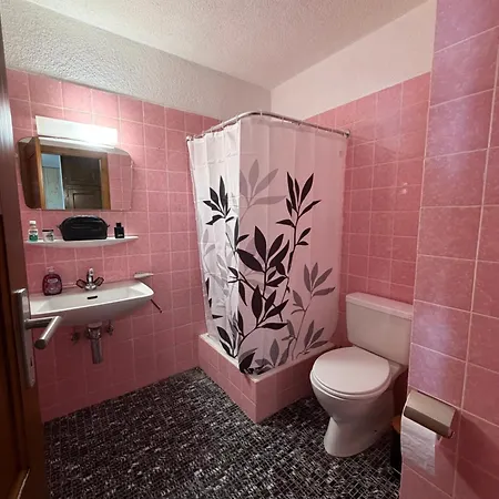 Cozy Avec Grand Balcon Apartament